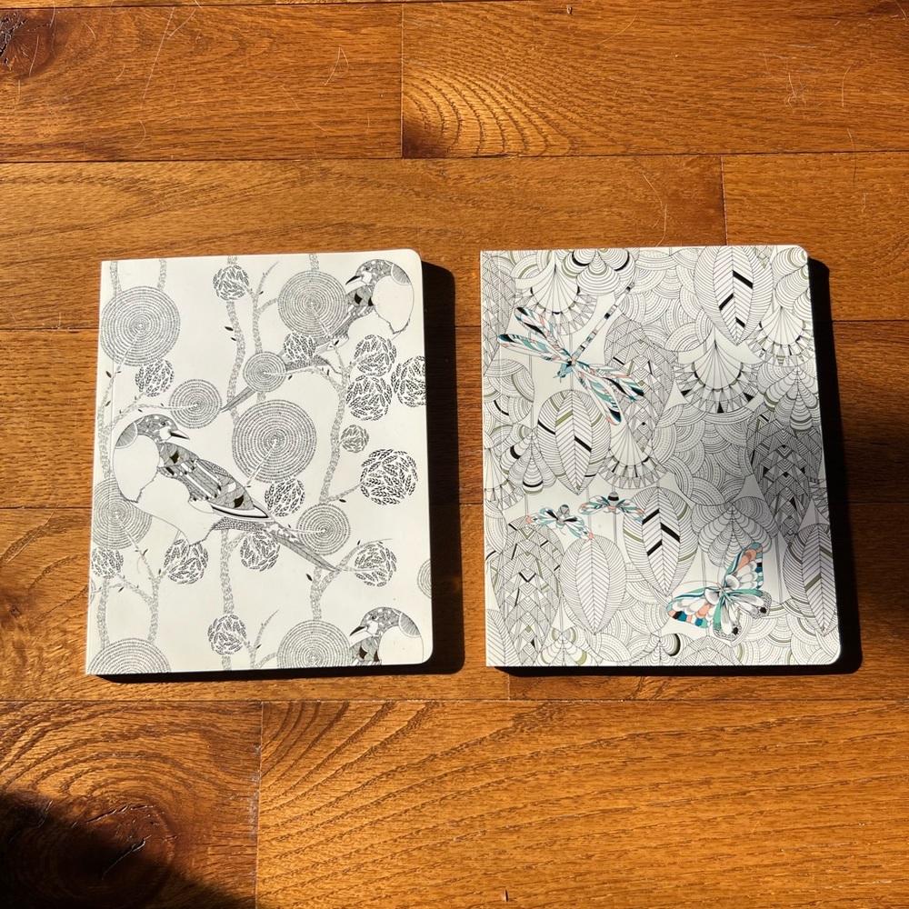 Lined Notebooks Pair